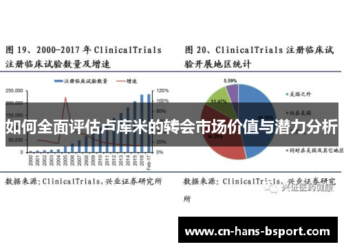 如何全面评估卢库米的转会市场价值与潜力分析