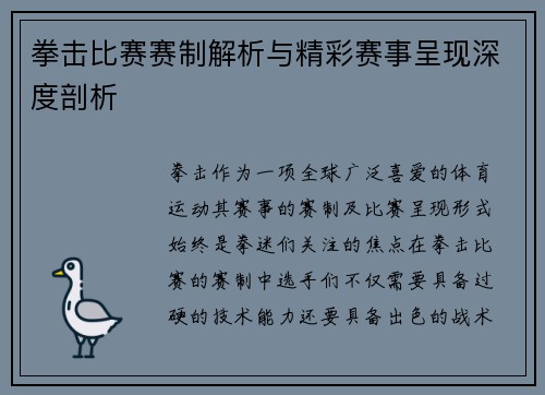 拳击比赛赛制解析与精彩赛事呈现深度剖析